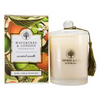 Wavertree & London Soy candle - Basil Lime Mandarin